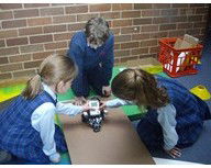 All Hallows Catholic Primary School - Education VIC 1