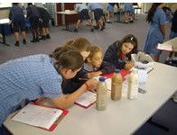 All Hallows Catholic Primary School - Education VIC 3
