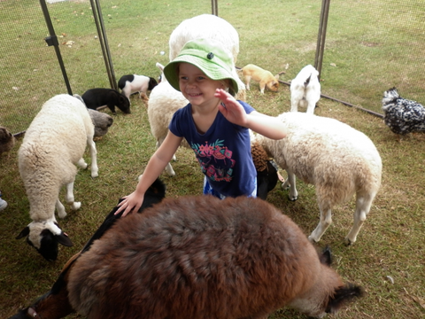 Eastside Little Learners Child Care Centre - Education VIC 1