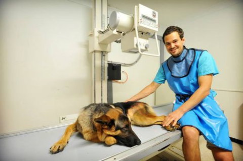 Pacific Vetcare - Education VIC 0
