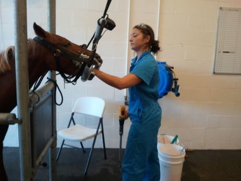 Pacific Vetcare - Education VIC 9