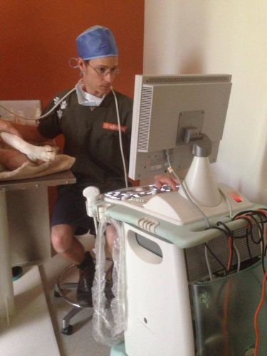 Pacific Vetcare - Education VIC 1