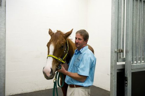 Pacific Vetcare - Education VIC 2