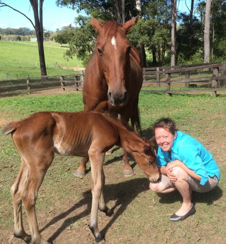 Pacific Vetcare - Education VIC 5