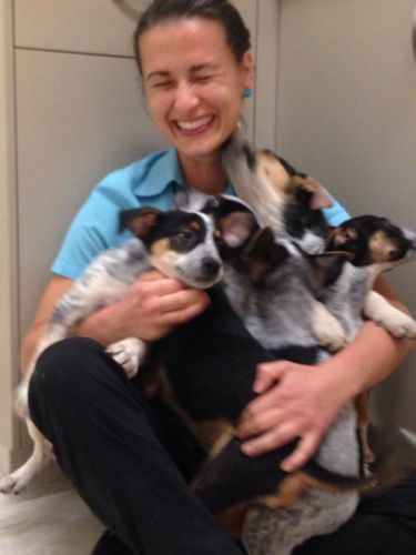 Pacific Vetcare - Education VIC 7