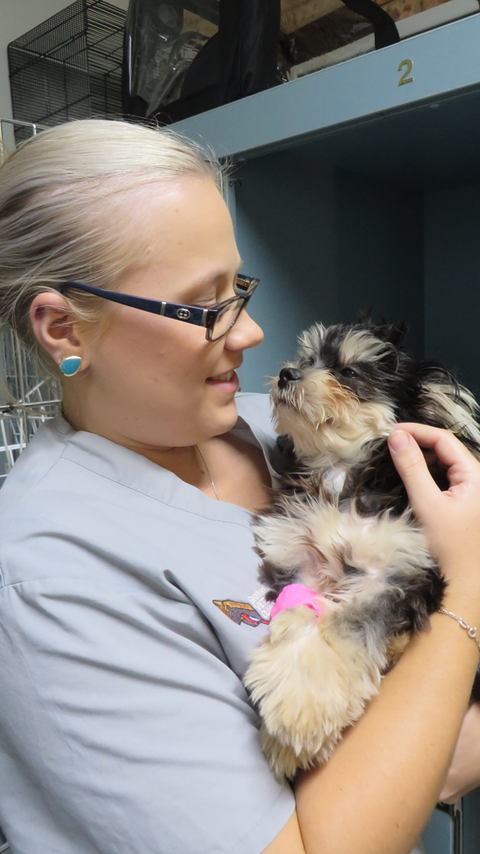Grafton Veterinary Clinic - Education VIC 1