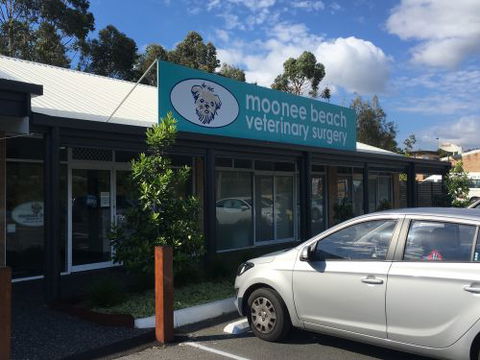 Moonee Beach Veterinary Surgery - Education VIC 0