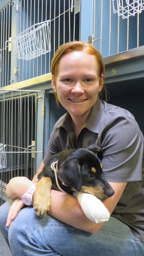 Grafton Veterinary Clinic - Education VIC 0