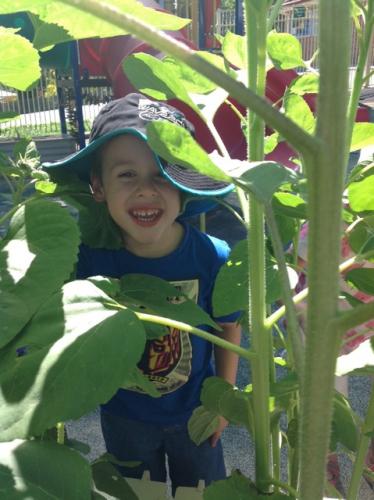 Central Gardens Childcare - Education VIC 1