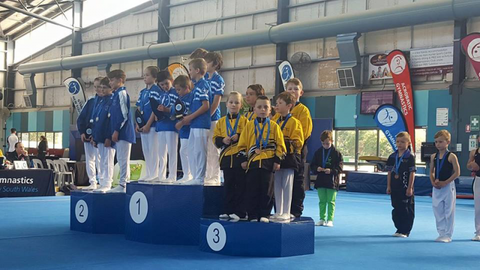 Gosford Gymnastics - Education VIC 1