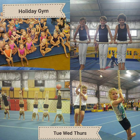 Gosford Gymnastics - Education VIC 4