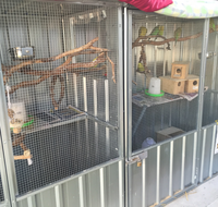 TLC Early Learning Centre - Education VIC