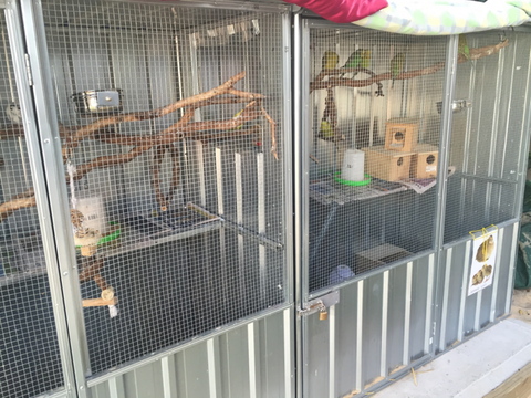 TLC Early Learning Centre - Education VIC 0