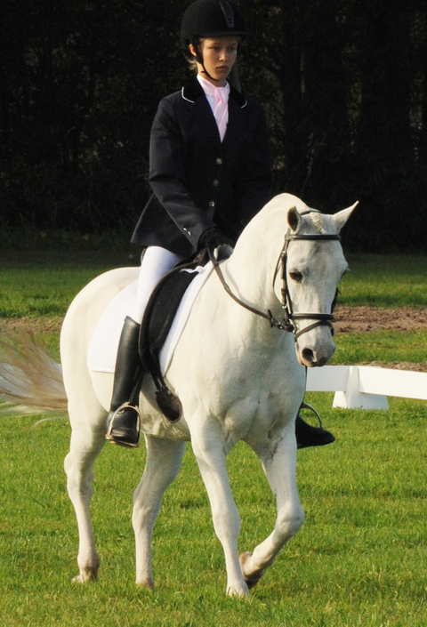 Encantador The Riding School - Education VIC 0