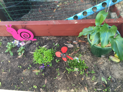 TLC Early Learning Centre - Education VIC 3