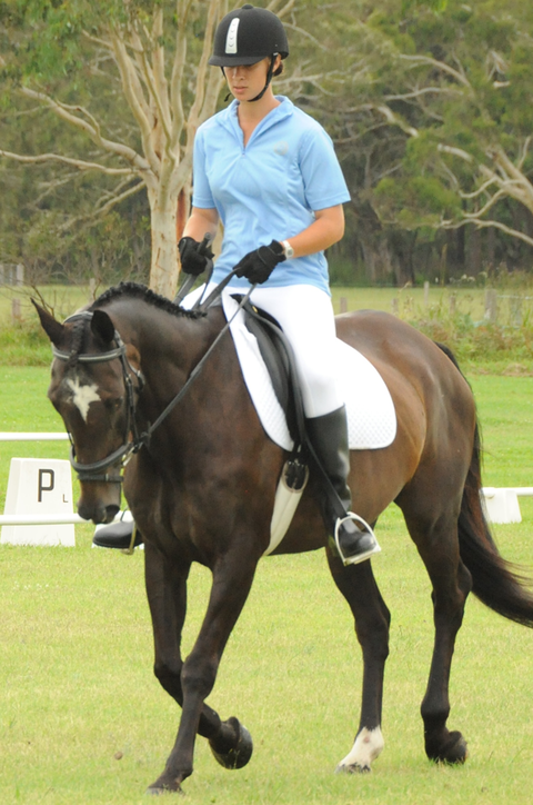 Encantador The Riding School - Education VIC 3